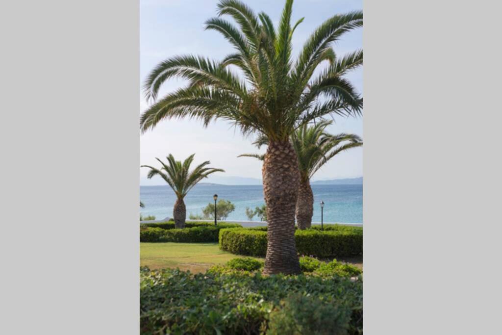 Palmaya Villa, Unique Seafront Experience Vagia  Esterno foto