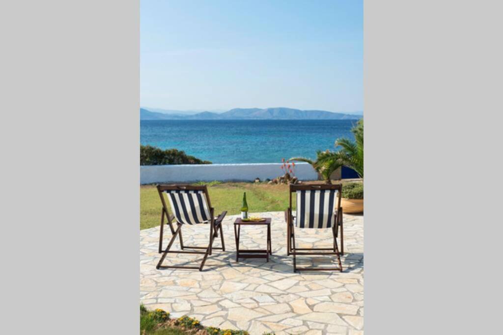 Palmaya Villa, Unique Seafront Experience Vagia  Esterno foto