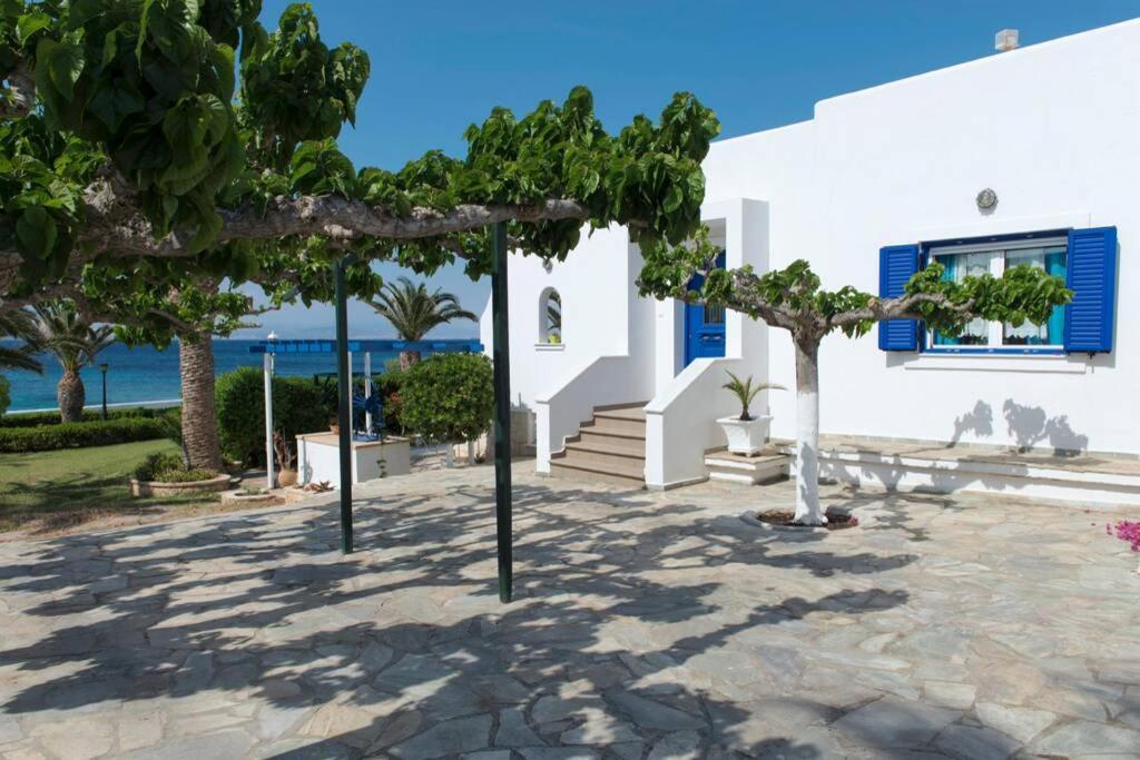 Palmaya Villa, Unique Seafront Experience Vagia  Esterno foto