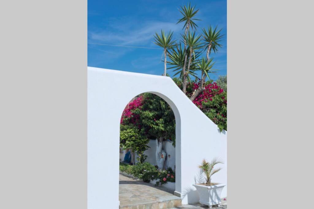 Palmaya Villa, Unique Seafront Experience Vagia  Esterno foto