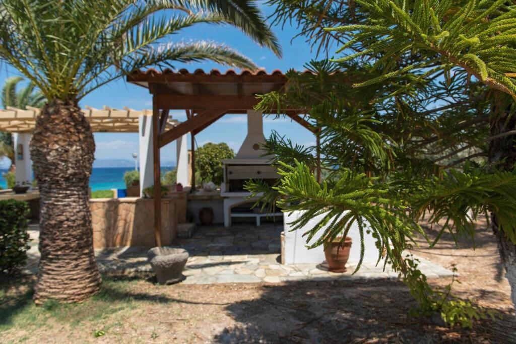 Palmaya Villa, Unique Seafront Experience Vagia  Esterno foto