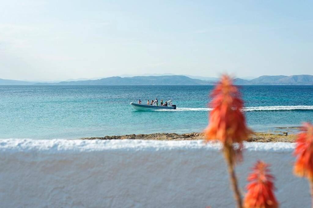 Palmaya Villa, Unique Seafront Experience Vagia  Esterno foto