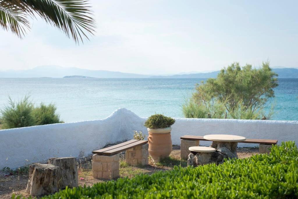 Palmaya Villa, Unique Seafront Experience Vagia  Esterno foto